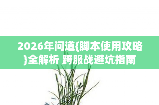 2026年问道{脚本使用攻略}全解析 跨服战避坑指南 2026年问道{脚本使用攻略}全解析 跨服战避坑指南