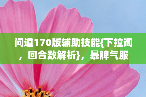 问道170版辅助技能图片
