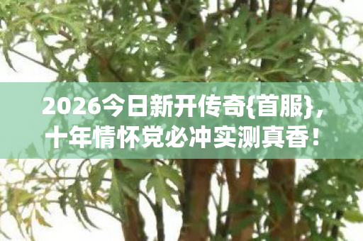 十年情怀党必冲实测真香图片