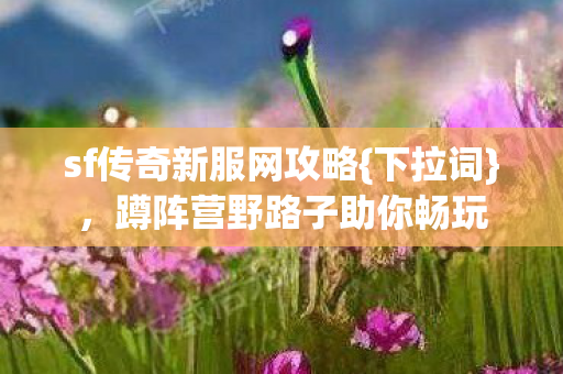 蹲阵营野路子助你畅玩图片