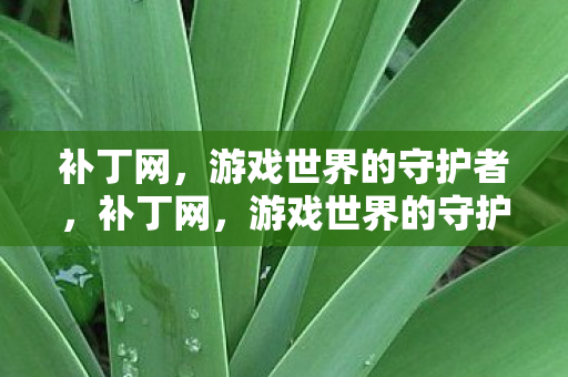 补丁网，游戏世界的守护者，补丁网，游戏世界的守护者