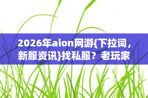 2026年aion网游{下拉词，新服资讯}找私服？老玩家避坑装备全解析