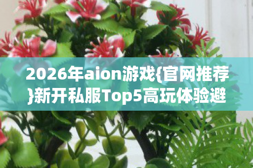 新开私服Top5高玩体验避雷图片