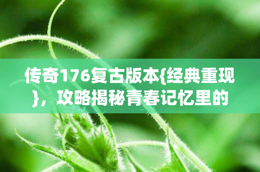 传奇176复古版本{经典重现}，攻略揭秘青春记忆里的角色玩法