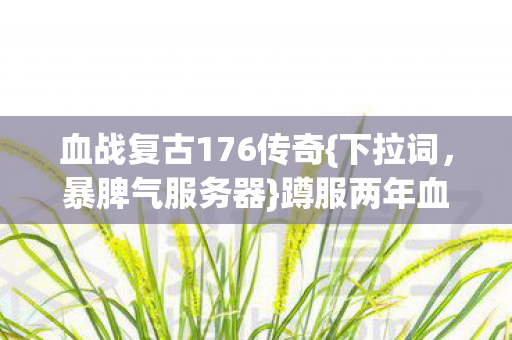 血战复古176传奇{下拉词，暴脾气服务器}蹲服两年血泪分享