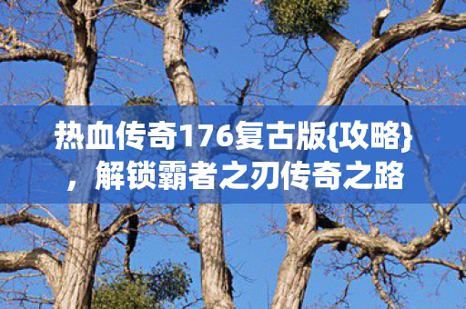 热血传奇176复古版{攻略}，解锁霸者之刃传奇之路