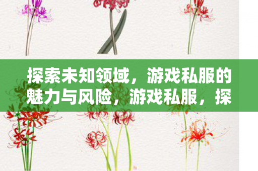探索未知领域，游戏私服的魅力与风险，游戏私服，探索未知领域的魅力与风险