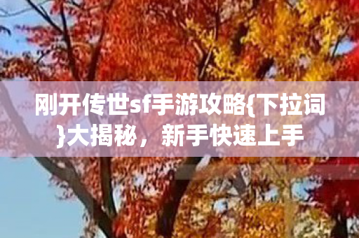 刚开传世sf手游攻略{下拉词}大揭秘,新手快速上手 刚开传世sf手游攻略{下拉词}大揭秘,新手快速上手