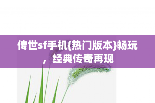 传世sf手机{热门版本}畅玩,经典传奇再现 传世sf手机{热门版本}畅玩,经典传奇再现