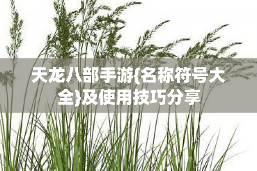 及使用技巧分享图片