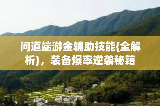 问道端游金辅助技能{全解析}，装备爆率逆袭秘籍