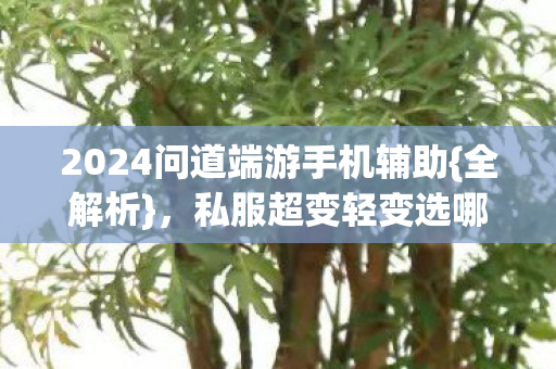 2024问道端游手机辅助图片