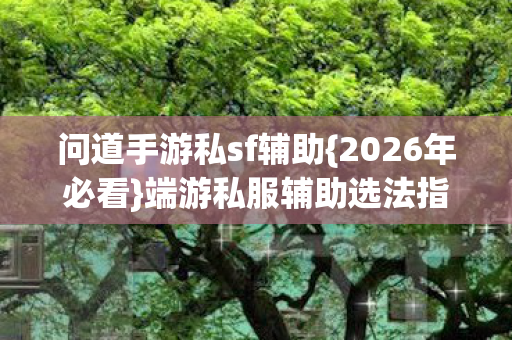 问道手游私sf辅助{2026年必看}端游私服辅助选法指南