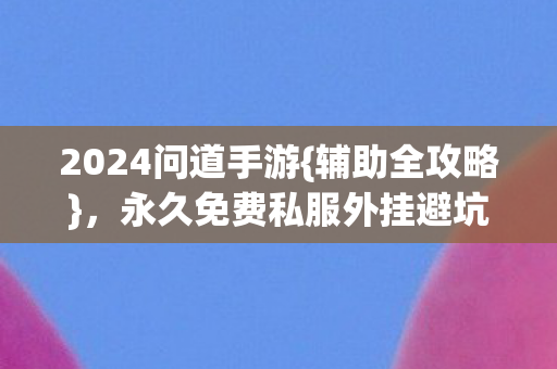 永久免费私服外挂避坑指南图片