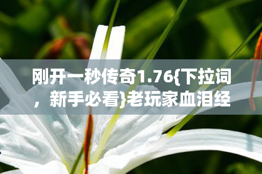 老玩家血泪经验分享图片