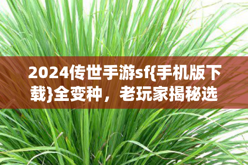 2024传世手游sf图片
