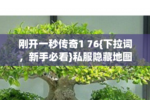 刚开一秒传奇1 76图片