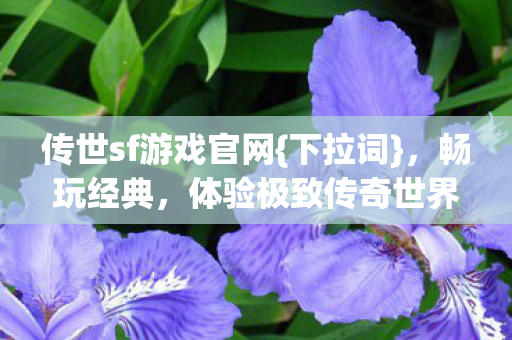 传世sf游戏官网图片