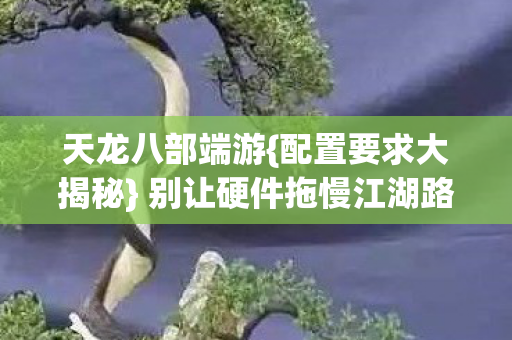 别让硬件拖慢江湖路图片
