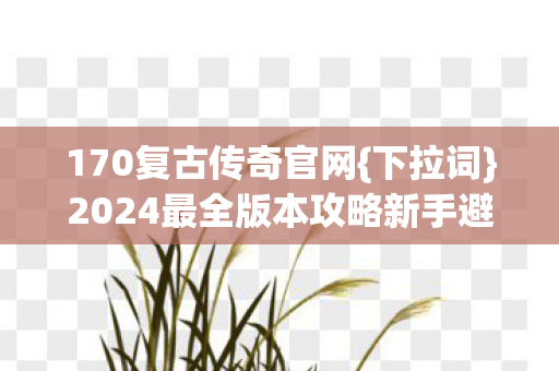 170复古传奇官网{下拉词}2024最全版本攻略新手避坑