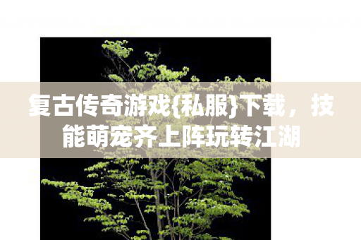 复古传奇游戏{私服}下载，技能萌宠齐上阵玩转江湖
