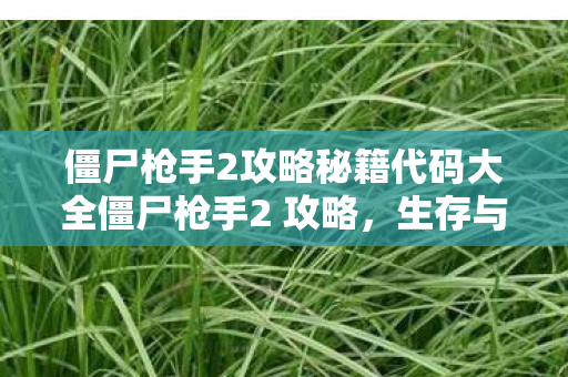 僵尸枪手2攻略秘籍代码大全僵尸枪手2 攻略，生存与战斗的终极指南，僵尸枪手2，生存与战斗终极攻略秘籍