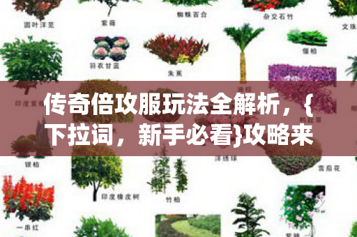 传奇倍攻服玩法全解析图片