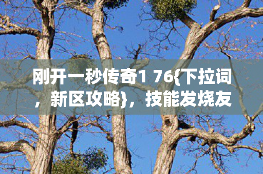 刚开一秒传奇1 76图片