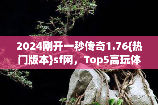 Top5高玩体验新手避雷图片