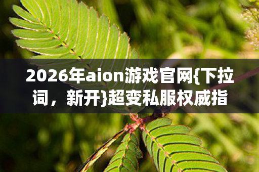 2026年aion游戏官网图片