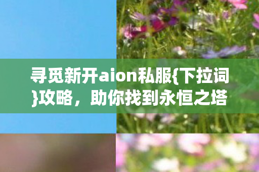 寻觅新开aion私服图片