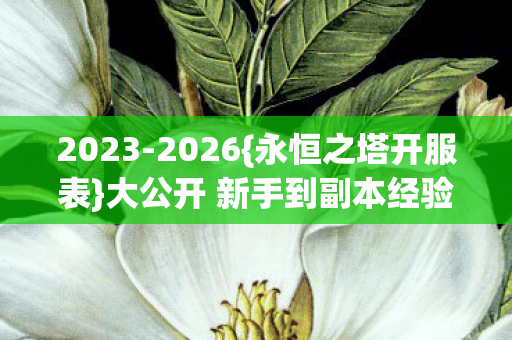 大公开 新手到副本经验分享图片