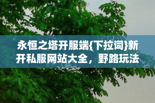 新开私服网站大全图片