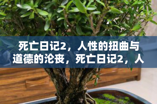 死亡日记2，人性的扭曲与道德的沦丧，死亡日记2，人性的扭曲与道德的沦丧