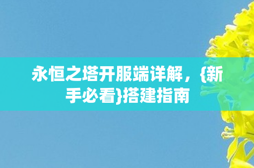 永恒之塔开服端详解图片
