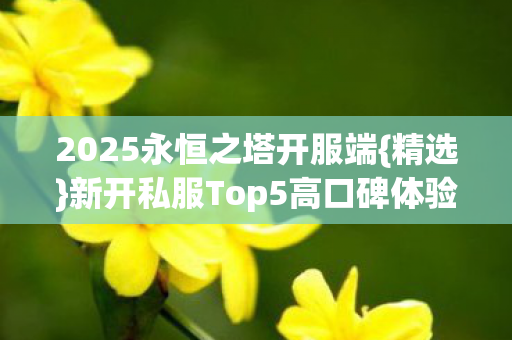 新开私服Top5高口碑体验图片
