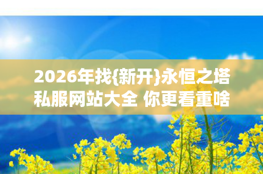 永恒之塔私服网站大全 你更看重啥图片