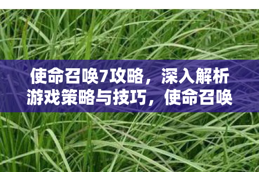 使命召唤7攻略，深入解析游戏策略与技巧，使命召唤7，深入解析游戏策略与技巧全攻略