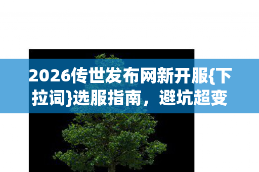2026传世发布网新开服图片