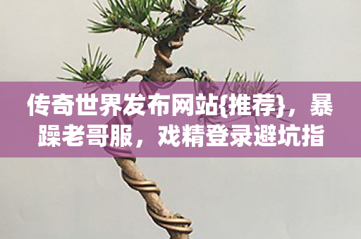 传奇世界发布网站图片