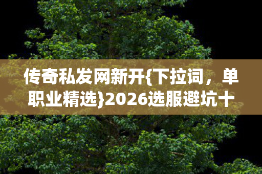 2026选服避坑十年经验图片