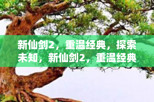 新仙剑2，重温经典，探索未知，新仙剑2，重温经典，探索未知之旅