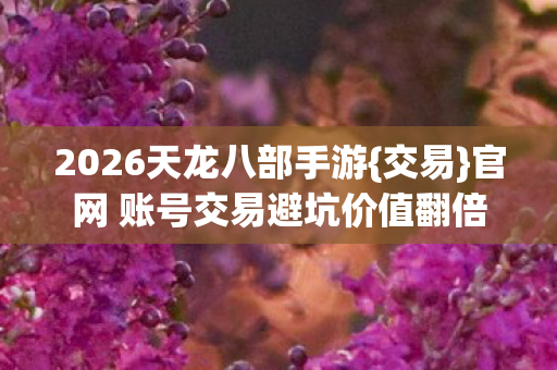 官网 账号交易避坑价值翻倍图片