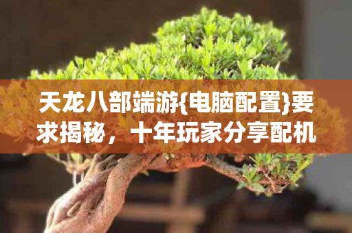 十年玩家分享配机心得图片