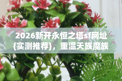2026新开永恒之塔sf网址图片