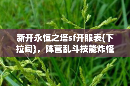 新开永恒之塔sf开服表图片