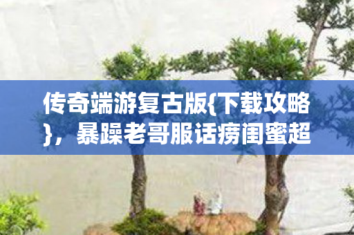 传奇端游复古版{下载攻略}，暴躁老哥服话痨闺蜜超有趣