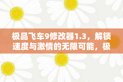 极品飞车9修改器1.3，解锁速度与激情的无限可能，极品飞车9修改器1.3，解锁速度与激情的无限可能