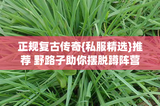 正规复古传奇{私服精选}推荐 野路子助你摆脱蹲阵营困境 正规复古传奇{私服精选}推荐 野路子助你摆脱蹲阵营困境