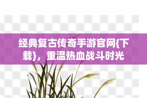 经典复古传奇手游官网{下载}，重温热血战斗时光